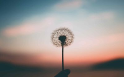 Comment se déroule une séance de sophrologie ?