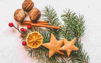 Guide : un Noël écologique